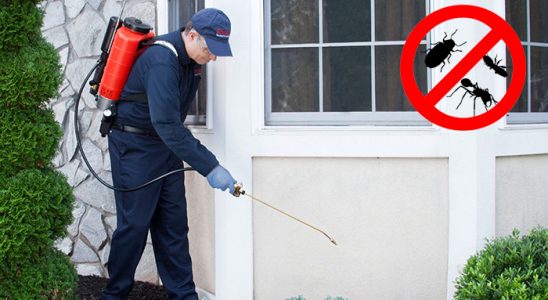 Batman Fare İlaçlama böcek ilaçlama ve haşere kontrolü — ilaclama-tr.com